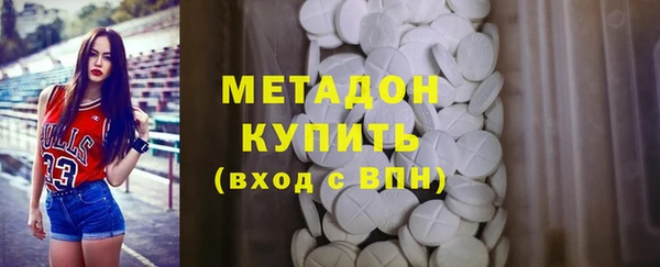 гидра Каменка