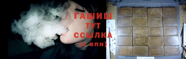 гидра Каменка