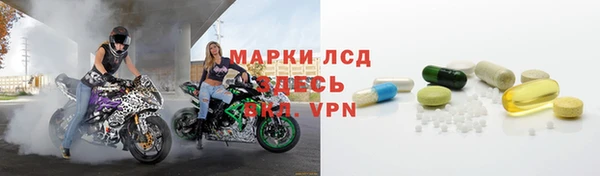 гидра Каменка