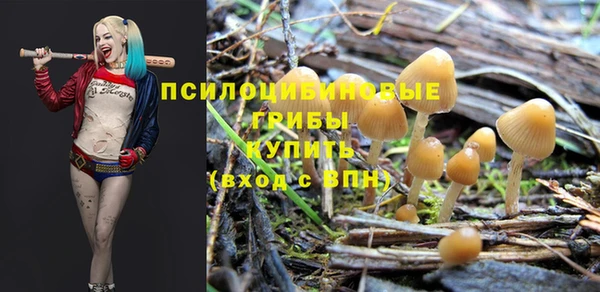 гидра Каменск-Шахтинский