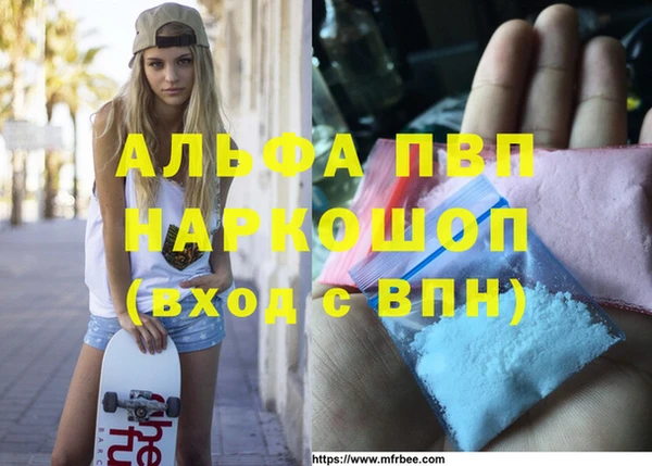 гидра Каменка