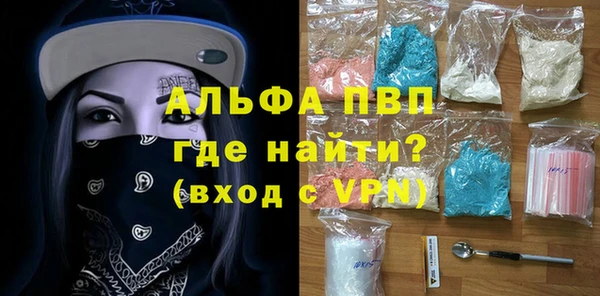 гидра Каменка