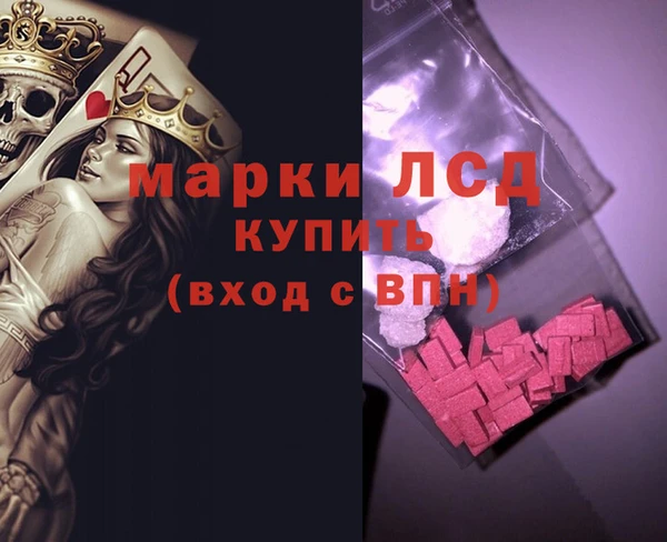 гидра Каменка