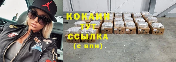 гидра Каменка