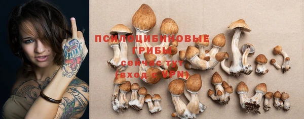 гидра Каменск-Шахтинский